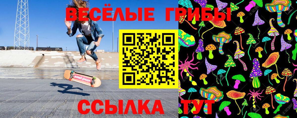 Псилоцибиновые грибы прущие грибы Осинники