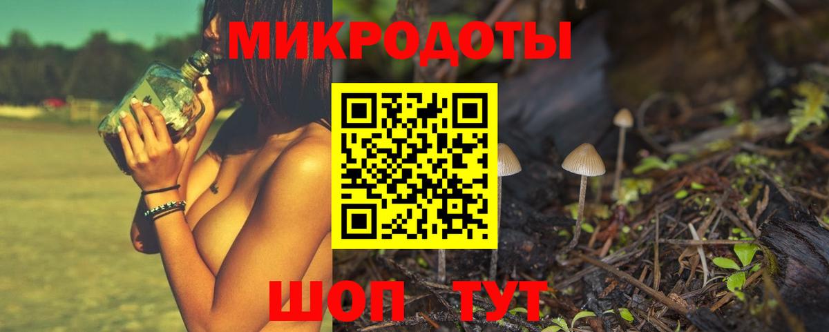 Осинники  Псилоцибиновые грибы мицелий  Галлюциногенные грибы Magic Shrooms  наркота  Вход с VPN 